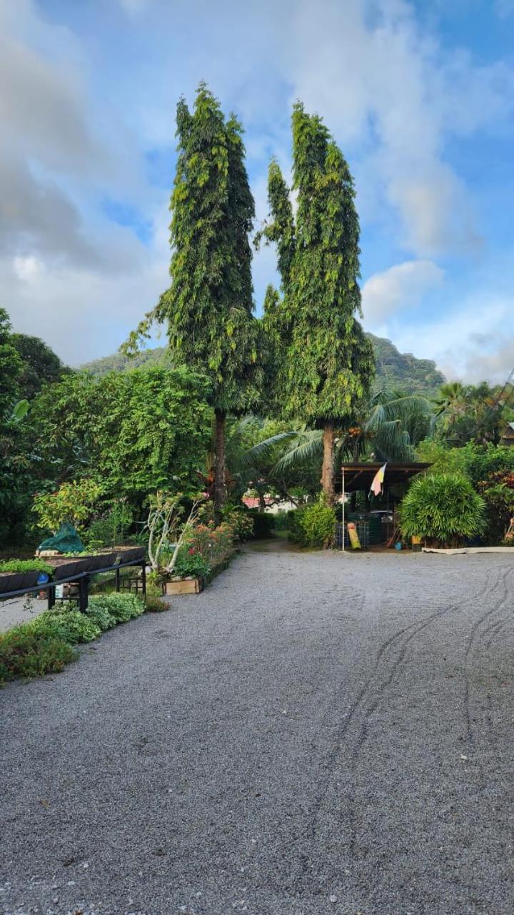 Green Self-Catering Apartment Beau Vallon  Exterior foto